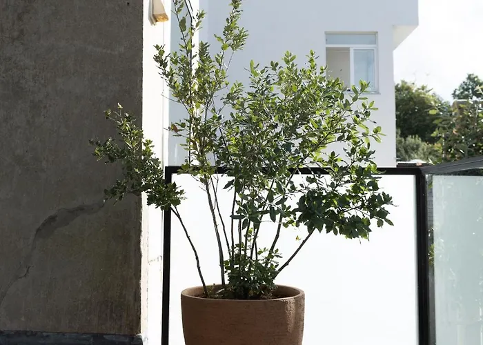 Feriehus Agnes Oostende