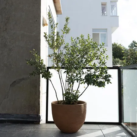 Ferienhaus Agnes Ostende